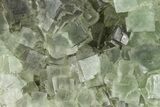 Green Cubic Fluorite Crystal Cluster on Matrix - China #372109-1